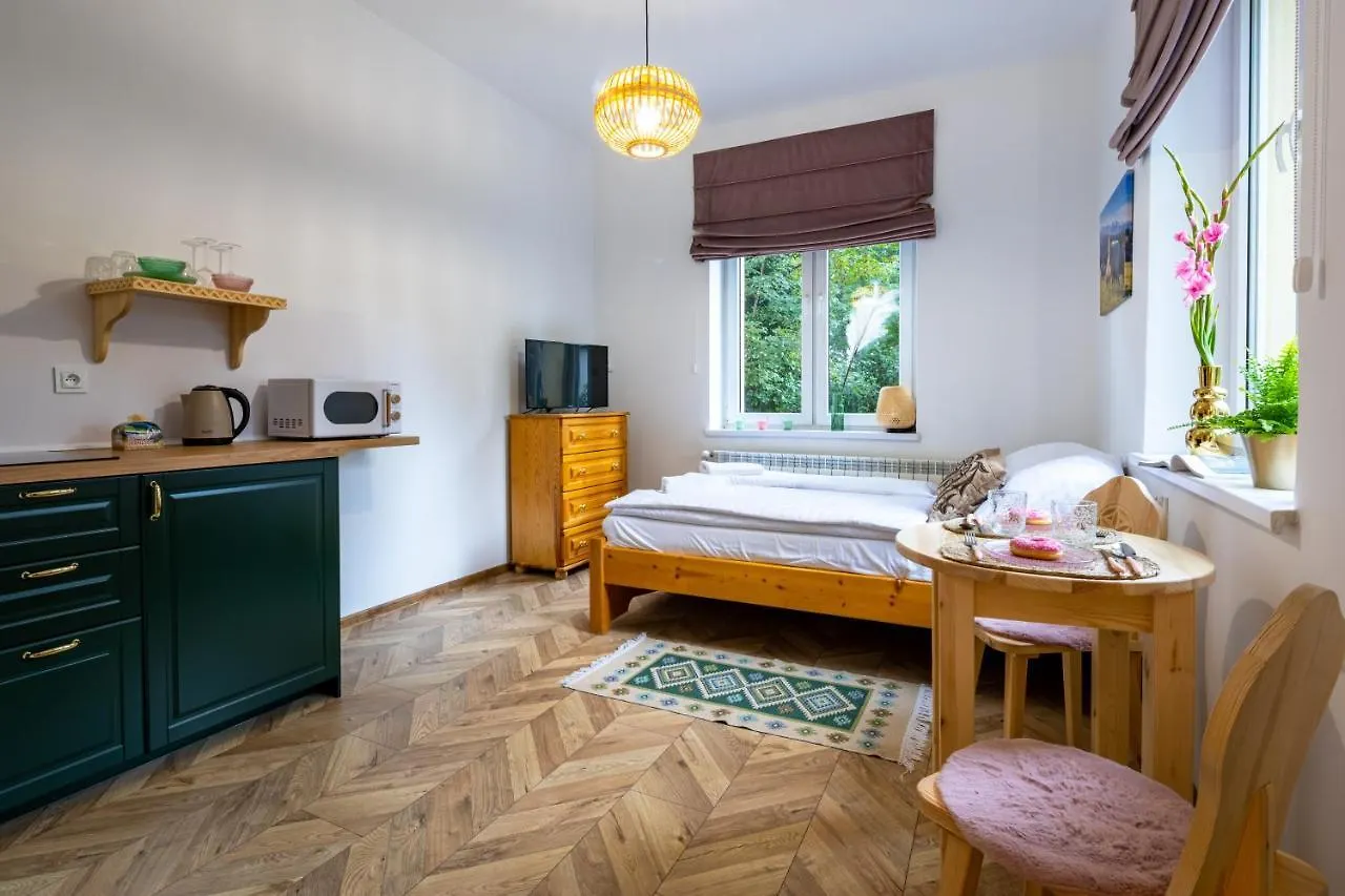 Witkiewicza Down Town Apartment Zakopane